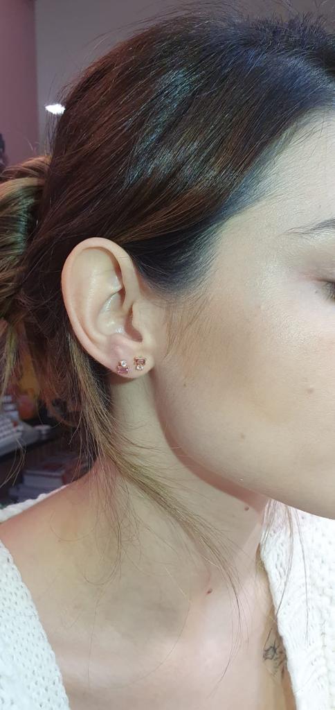 Brinco Stud