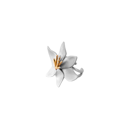 Anel Crocus OB