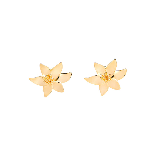 Brinco Crocus