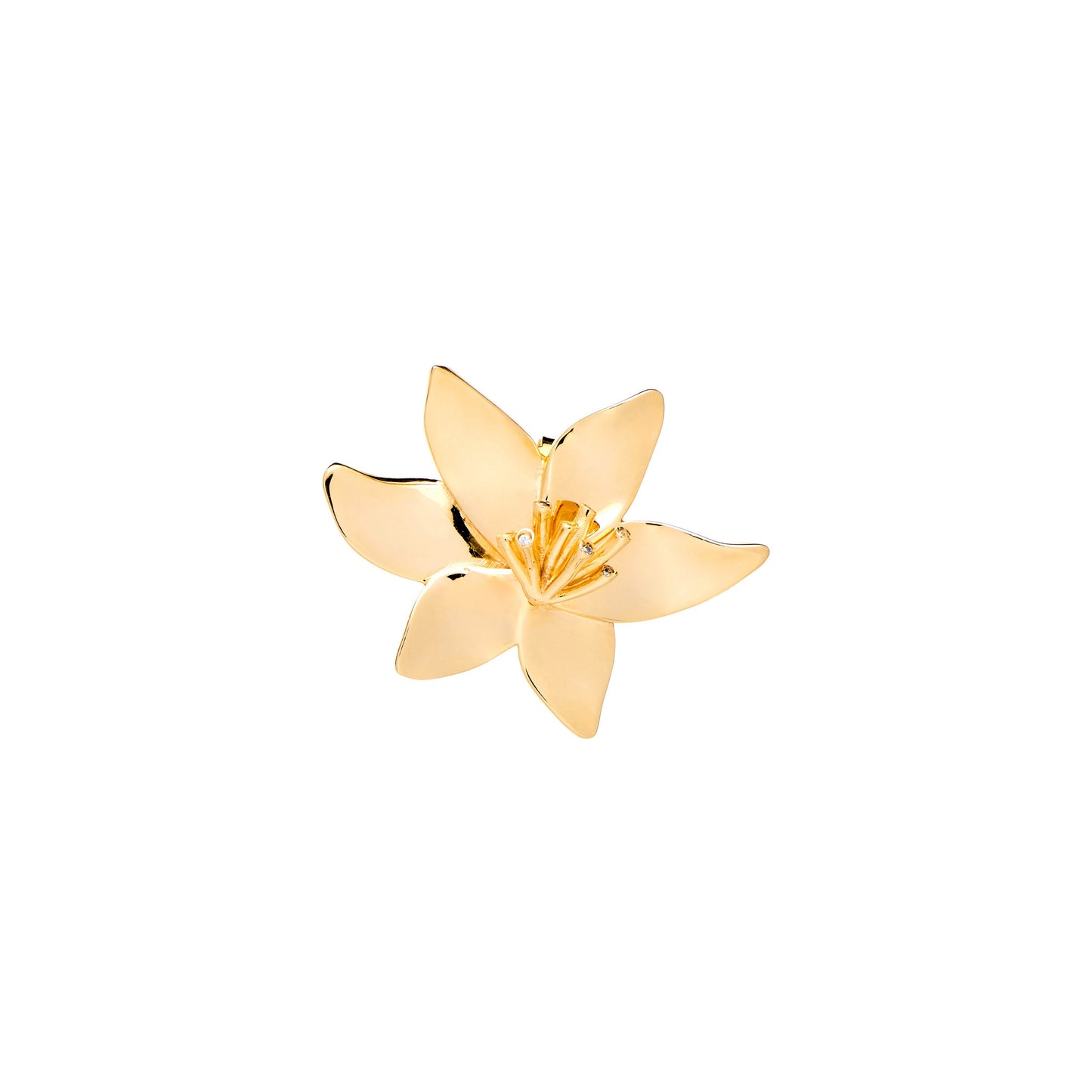 Brinco Crocus